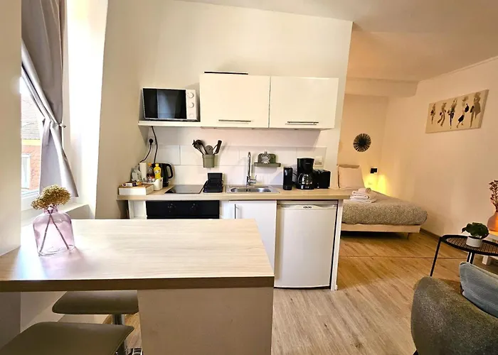 公寓 Studio- Hyper Centre 科尔马