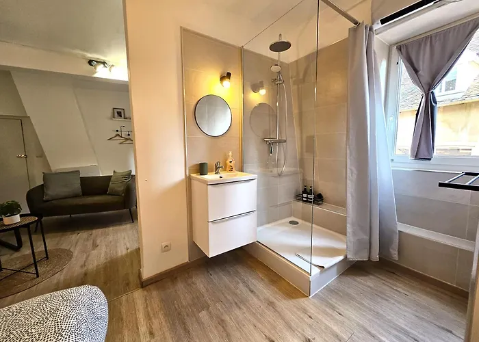 Studio- Hyper Centre 科尔马